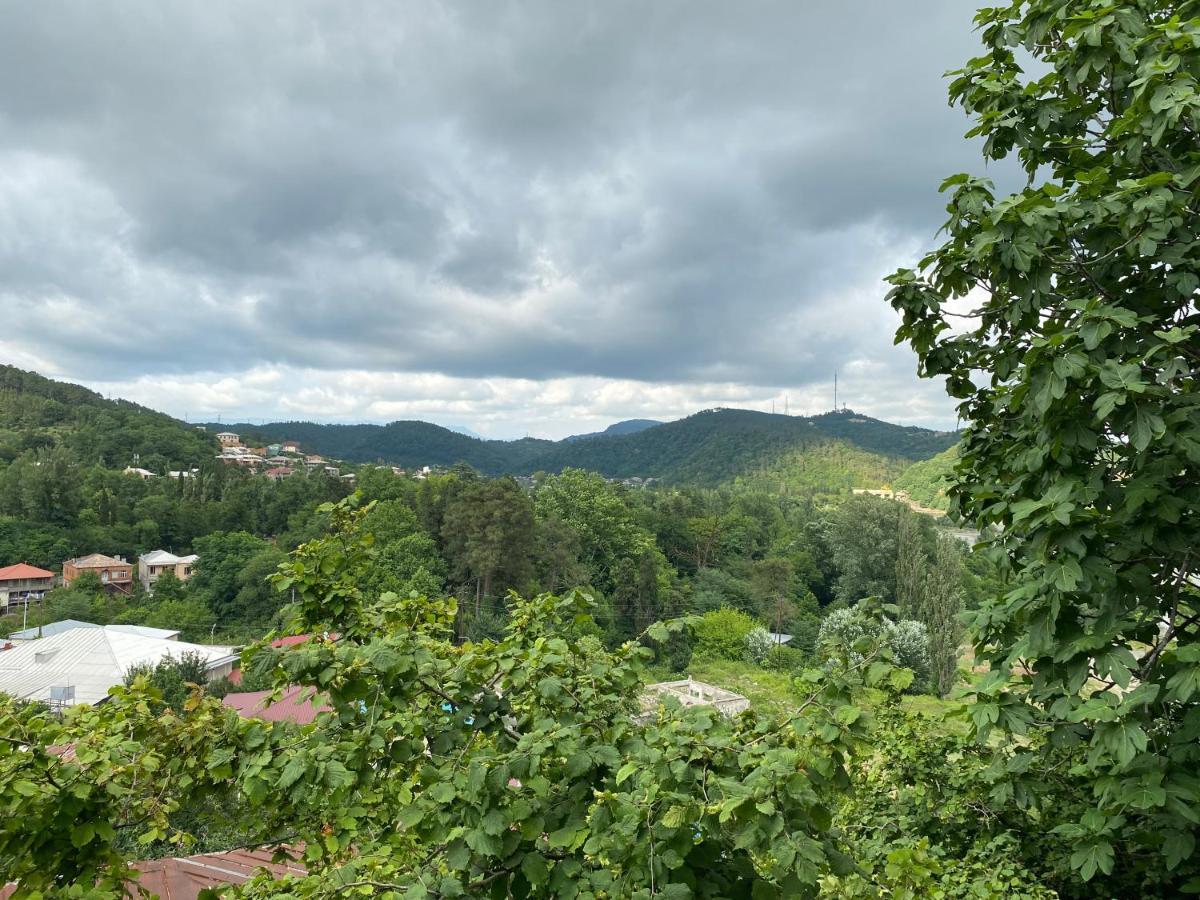 Guest House Royal Comfort With Terrace Κουτάισι Εξωτερικό φωτογραφία